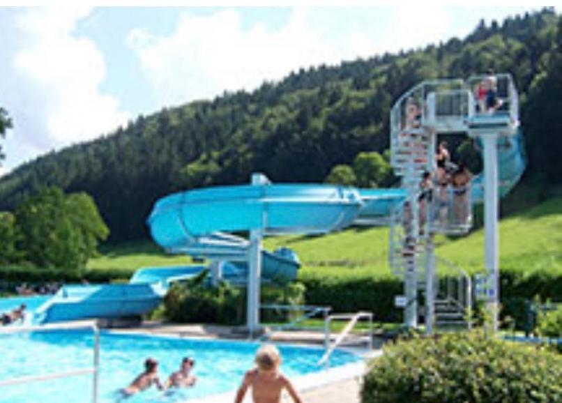 מיסן-וילהאמס Fewo Alpenwiese Mit Hallenbad&Sauna מראה חיצוני תמונה