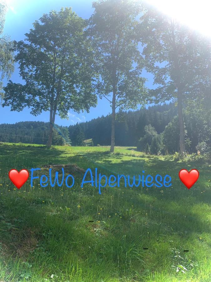 מיסן-וילהאמס Fewo Alpenwiese Mit Hallenbad&Sauna מראה חיצוני תמונה