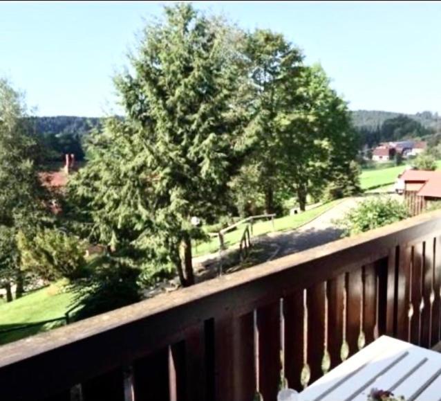 מיסן-וילהאמס Fewo Alpenwiese Mit Hallenbad&Sauna מראה חיצוני תמונה